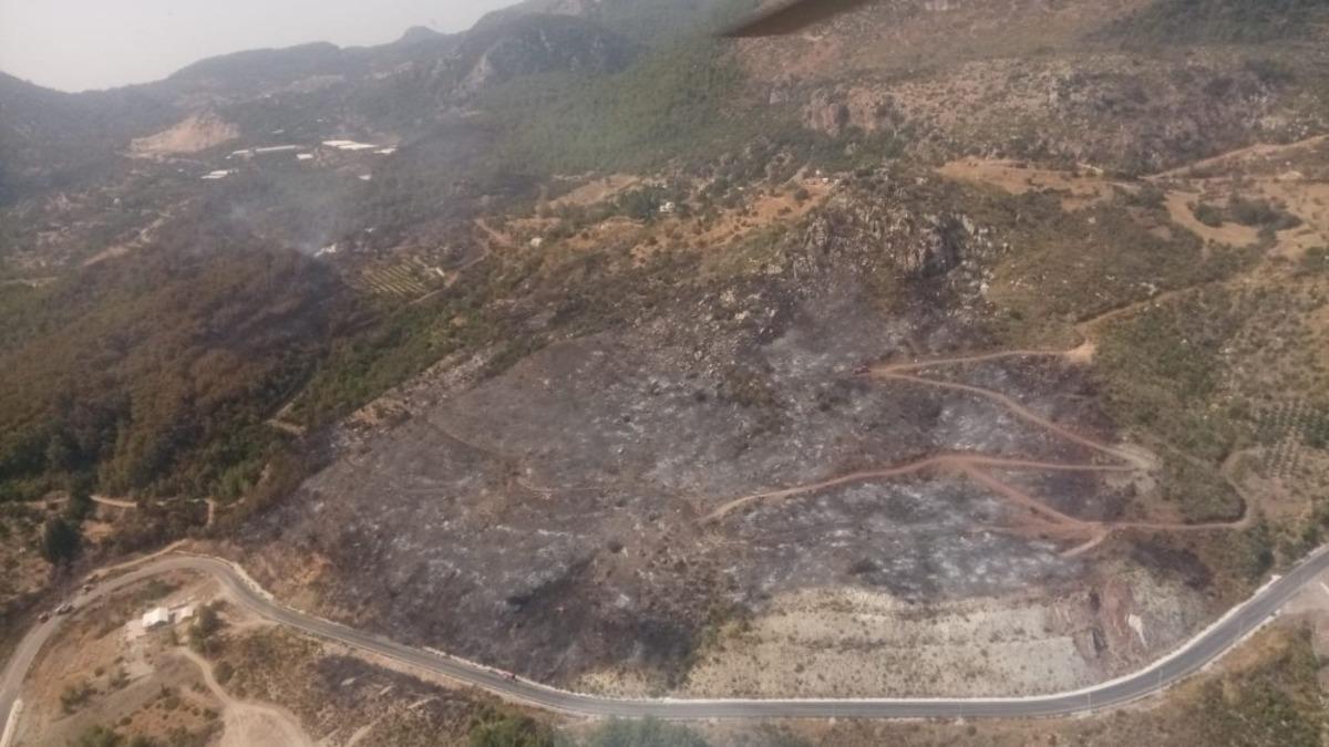 Atay Uslu: &ldquo;Adrasan&rsquo;da yanan yerler  ağa&ccedil;landırılacak. Konunun takip&ccedil;isiyiz &rdquo;