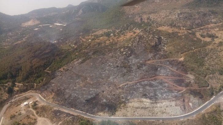 Atay Uslu: “Adrasan’da yanan yerler  ağaçlandırılacak. Konunun takipçisiyiz ” G1