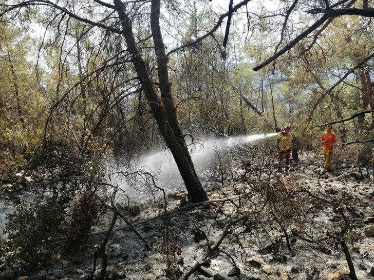 Atay Uslu: “Adrasan’da yanan yerler  ağaçlandırılacak. Konunun takipçisiyiz ” G2