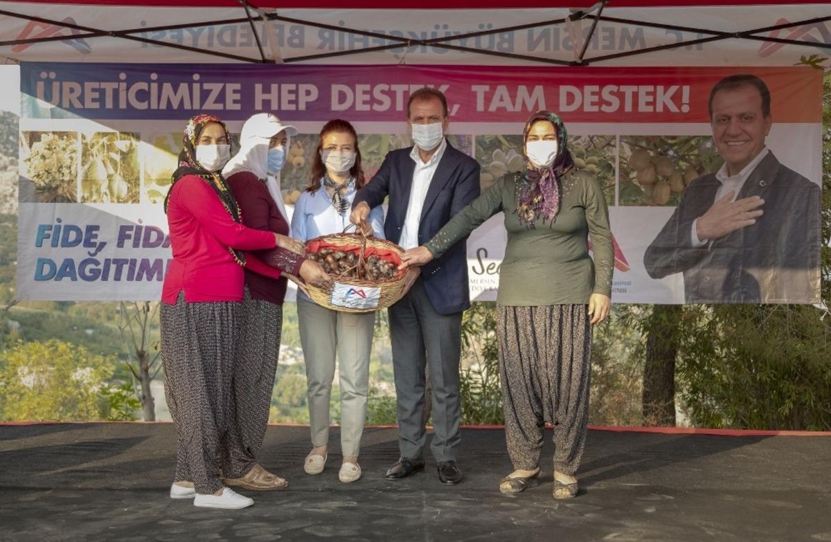 Başkan Se&ccedil;er, nergis soğanı dağıtımına Darısekisi&rsquo;nden başladı