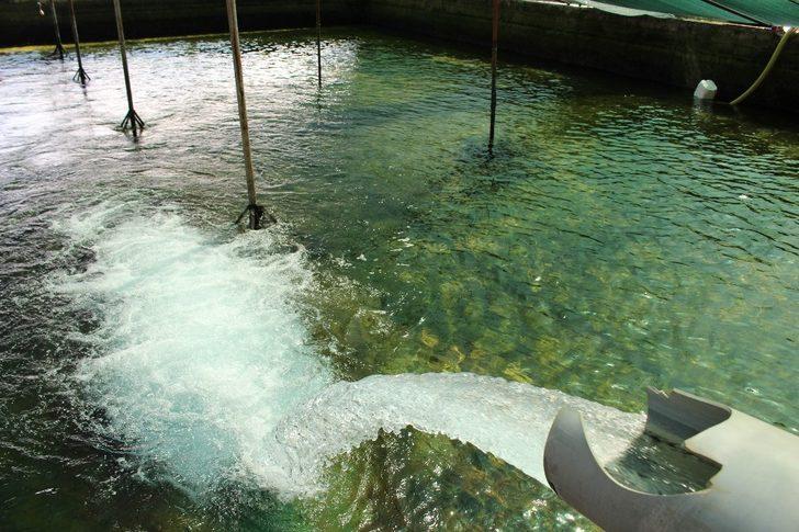 Kapalı devre sulama sistemi, yıllar önce mahalleyi terk eden 25 aileyi geri döndürdü G3