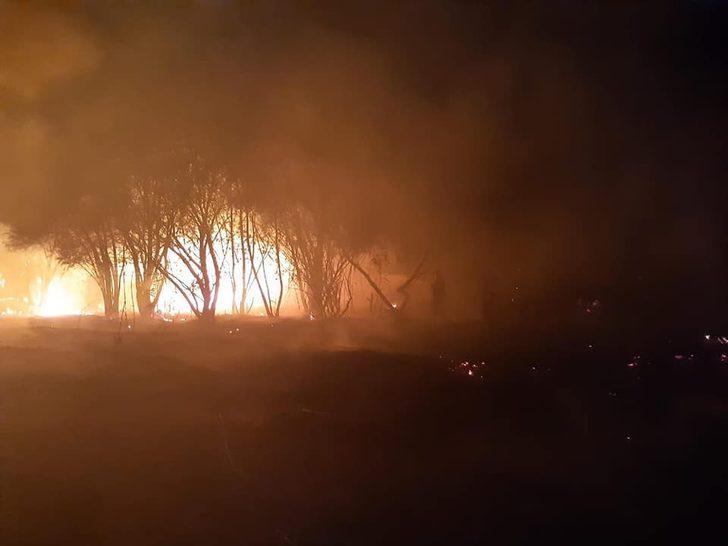 Bingöl’de yangın, bazı ağaçlar zarar gördü G2