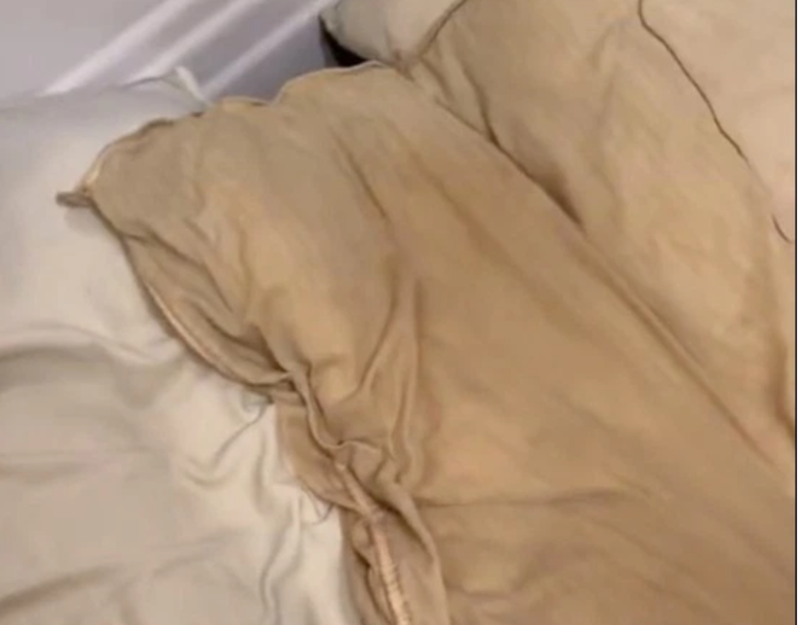 Erkek arkadaşının 10 yıldır yıkamadığı yastığı yıkadı! Mide bulandırıcı anlar kamerada