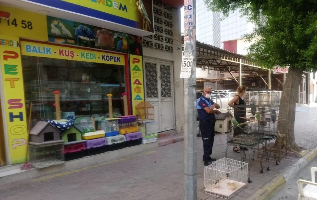 Akdeniz il&ccedil;esinde pet shoplar denetlendi