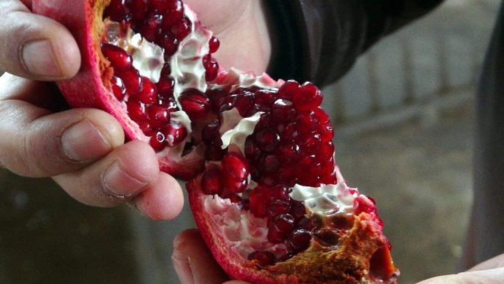 Adıyaman Nar’ını Türkşeker Tarım satın alacak G3