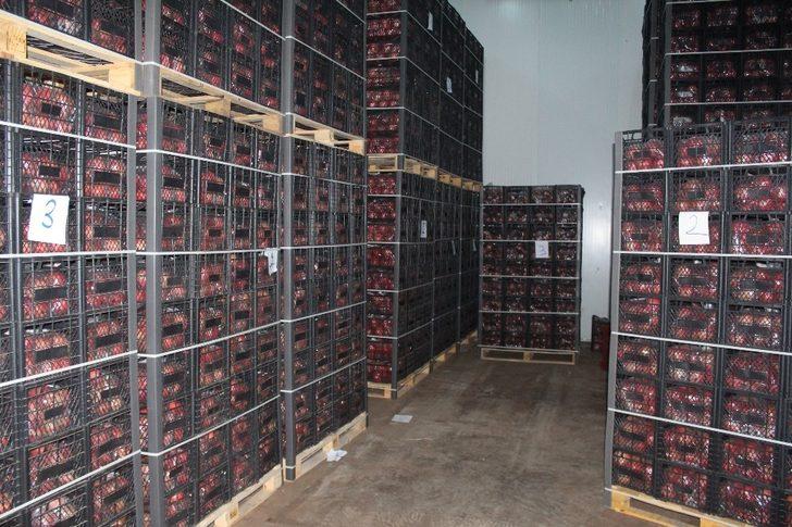 Adıyaman Nar’ını Türkşeker Tarım satın alacak G4