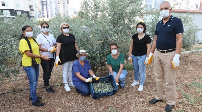 Mezitli’de dayanışma ekonomisi hayat buldu