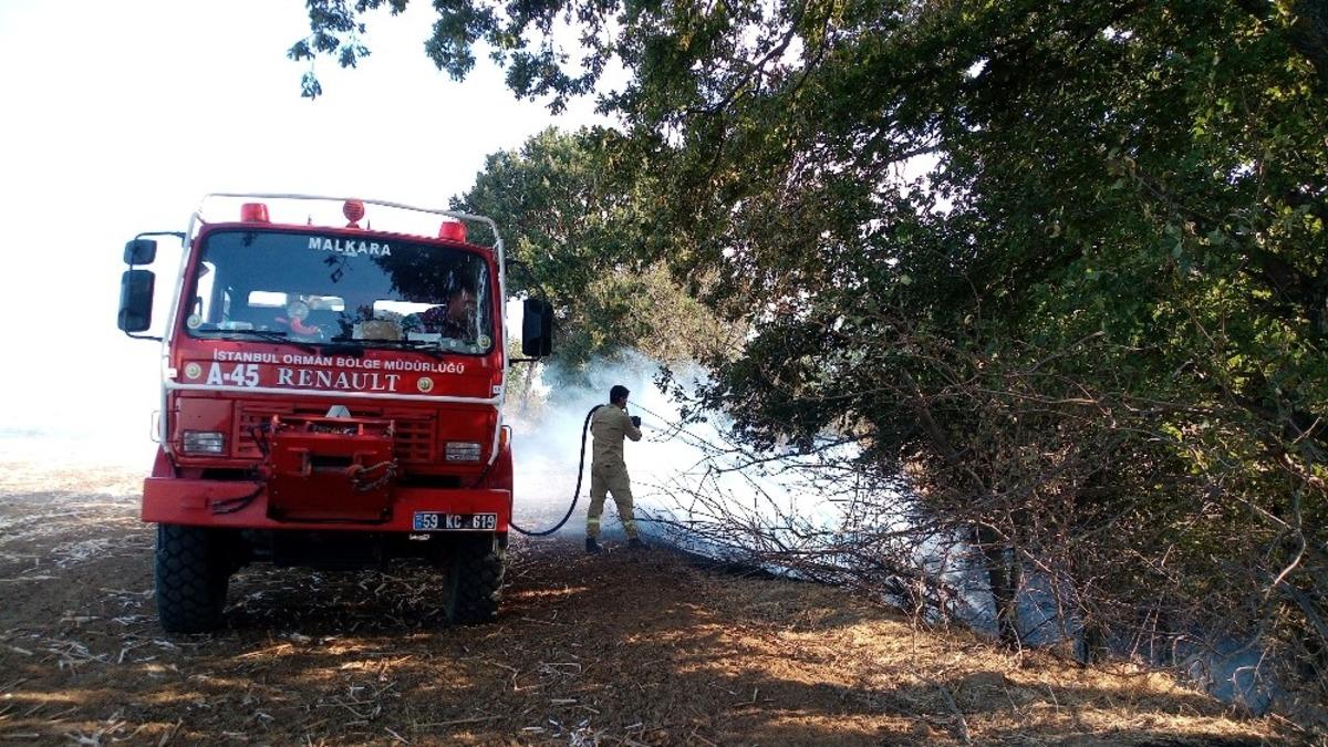Ağa&ccedil;lık alanda korkutan yangın