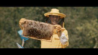 Meryem Uzerli'nin yeni filmi Kovan için geri sayım başladı 