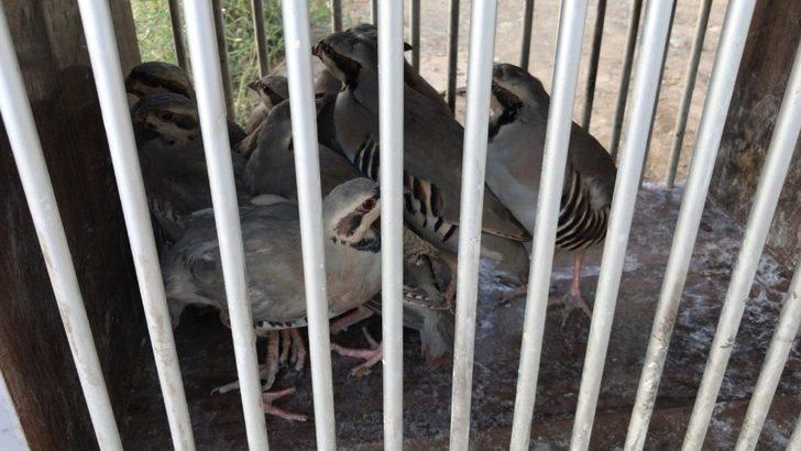 Van’da kafes avcısı polise takıldı G3