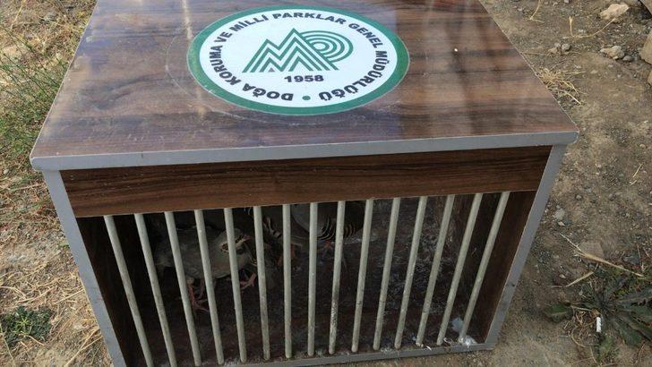 Van’da kafes avcısı polise takıldı G4