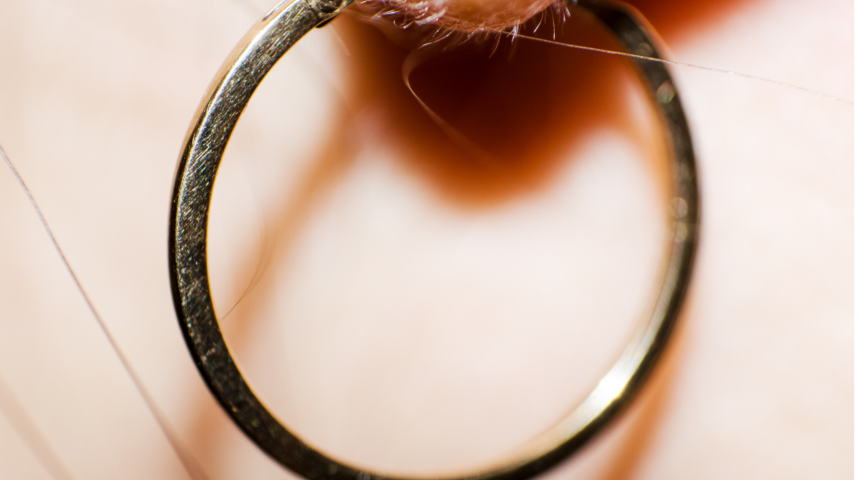 Artık sır değil! Kulak deliğiniz neden peynir gibi kokuyor? 