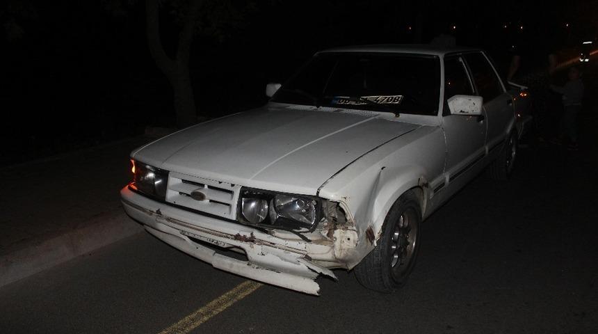 Yola &ccedil;ıkan domuz kazaya sebep oldu