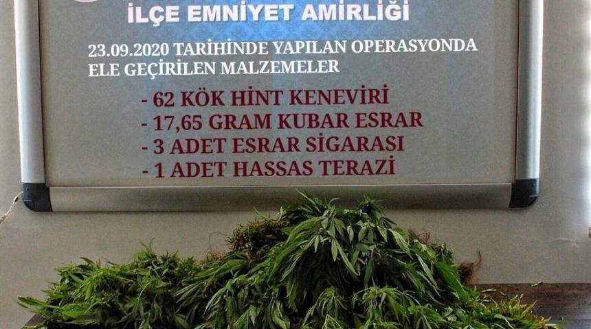 Evinin bah&ccedil;esinde kenevir yetiştiren şahıs tutuklandı