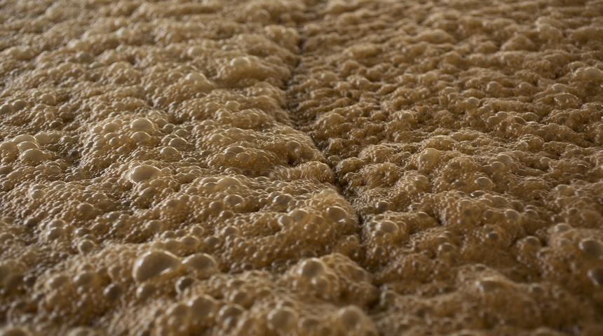 Kilosu 60 lira! Karaciğer yeniliyor, kansızlığı tedavi ediyor