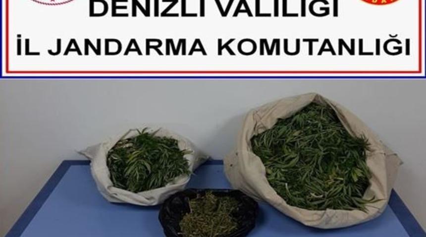 Arazide uyuşturucu kurutmaya &ccedil;alışırken jandarmaya yakalandılar