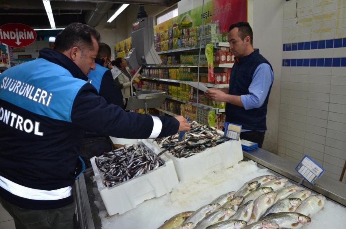 Balık sezonunun a&ccedil;ılmasıyla birlikte denetimler başladı
