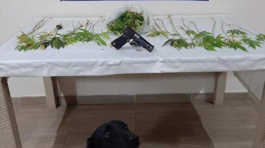 Sinop&rsquo;ta uyuşturucu operasyonu: 2 g&ouml;zaltı