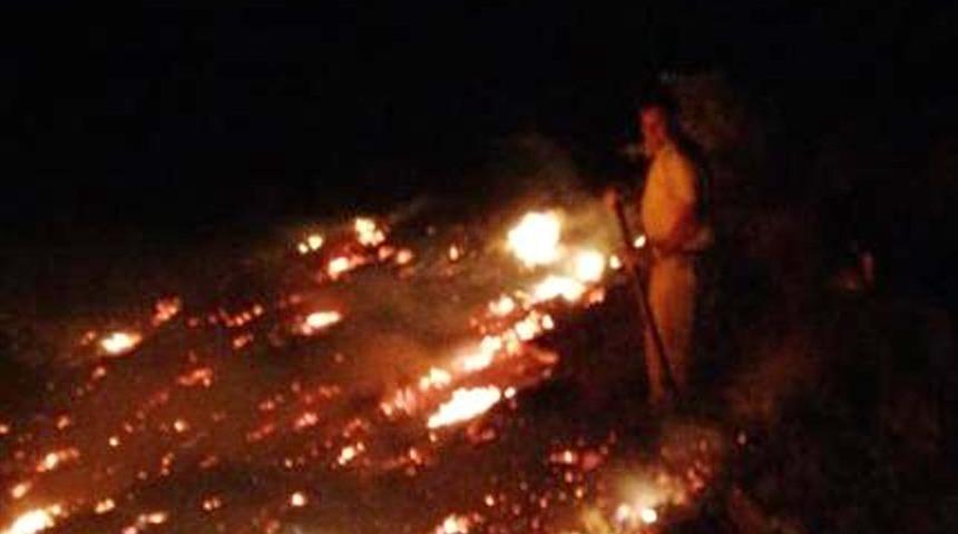 Elazığ'da Mastar Dağı'nda çıkan örtü yangını söndürüldü