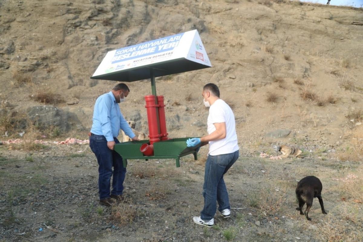 İlkadım can dostları unutmuyor