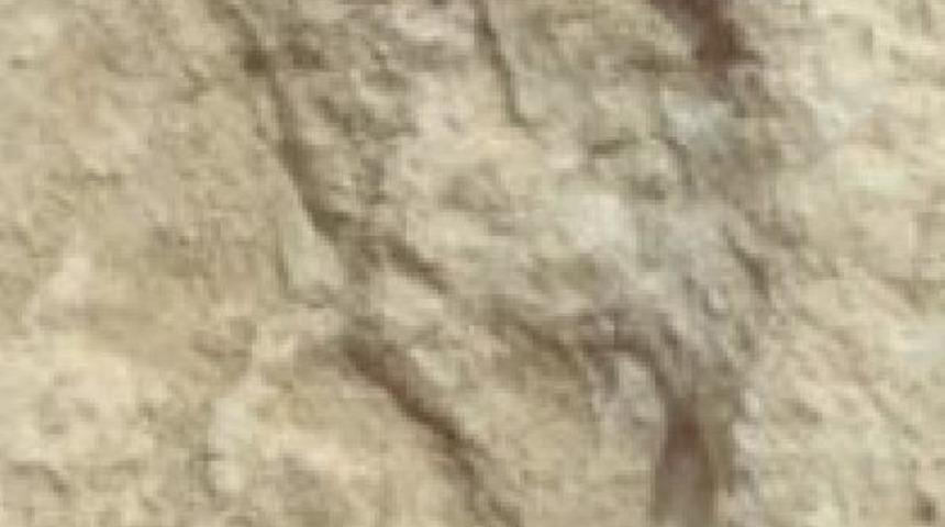 Suudi Arabistan&rsquo;da 120 bin yıllık ayak izi keşfedildi