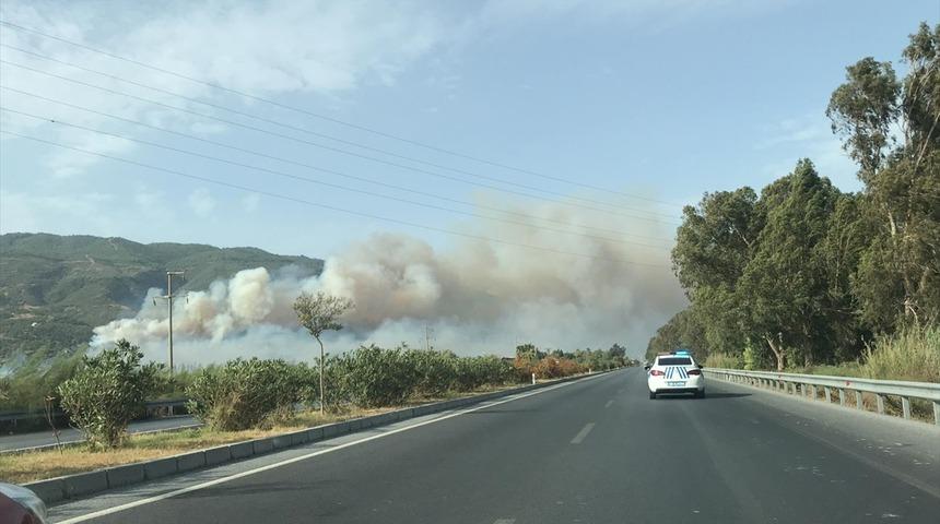 Aydın'da zeytinlik ve makilik alanda yangın &ccedil;ıktı