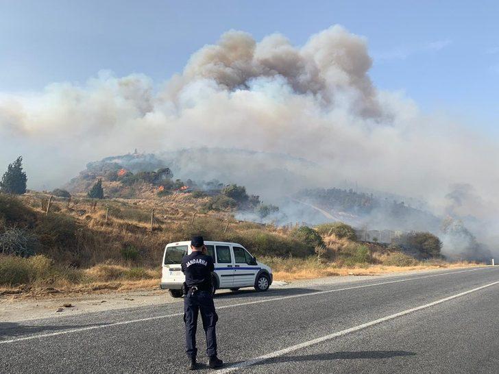 Aydın Büyükşehir İtfaiyesi Söke’deki orman yangınına müdahale ediyor G5
