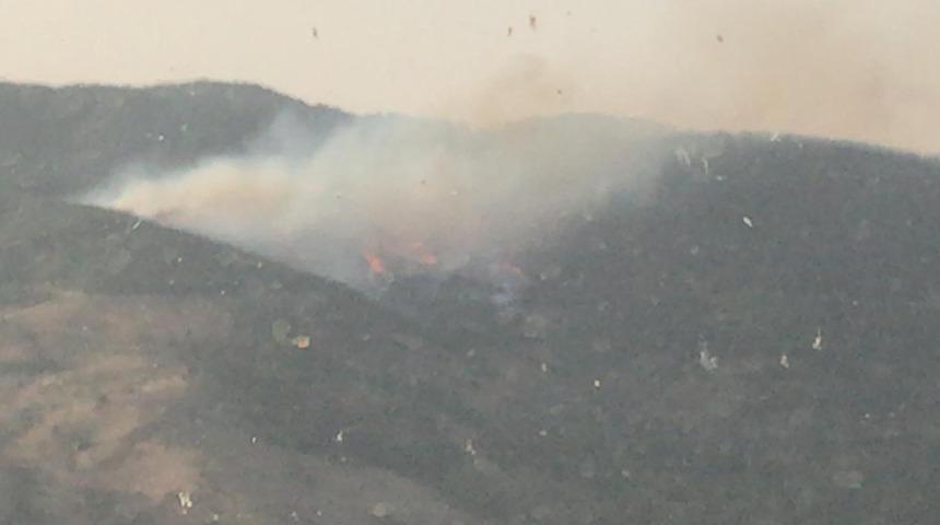 Bergama'da orman yangını