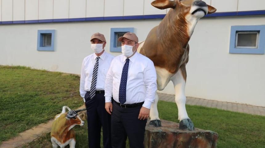 T&uuml;rkiye&rsquo;nin aşı projesinde son durum! 3 projede insan denemeleri aşamasında