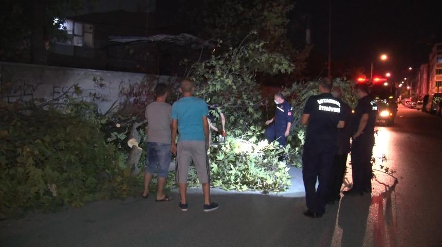 İstanbul'da şiddetli lodos! Park halindeki aracın &uuml;st&uuml;ne ağa&ccedil; devrildi