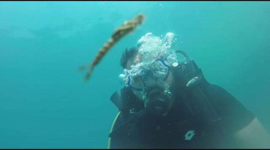 Van Gölü'nde yeni canlı türü keşfedildi