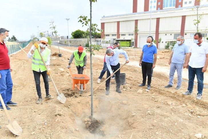 Başkan Çınar, Beylerderesi’ndeki çalışmaları inceledi G3