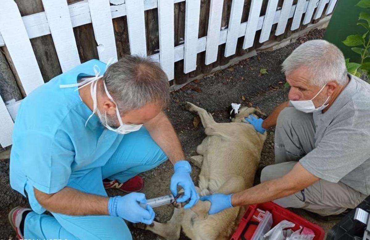 Can dostlar Osmangazi&rsquo;ye emanet