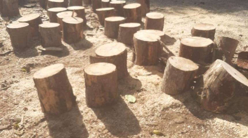 Orman emvali kaçakçılarına jandarma darbesi