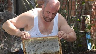  Ordulu çılgın arıcı, yarı çıplak arıların arasına daldı