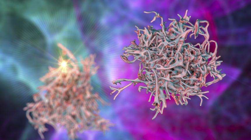 'Beyin yiyen amip' 6 yaşındaki çocuğu öldürdü