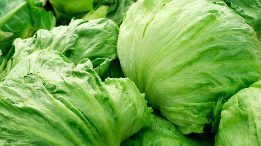 Yediğimiz marulda bile var! Zeka geriliğine kadar...