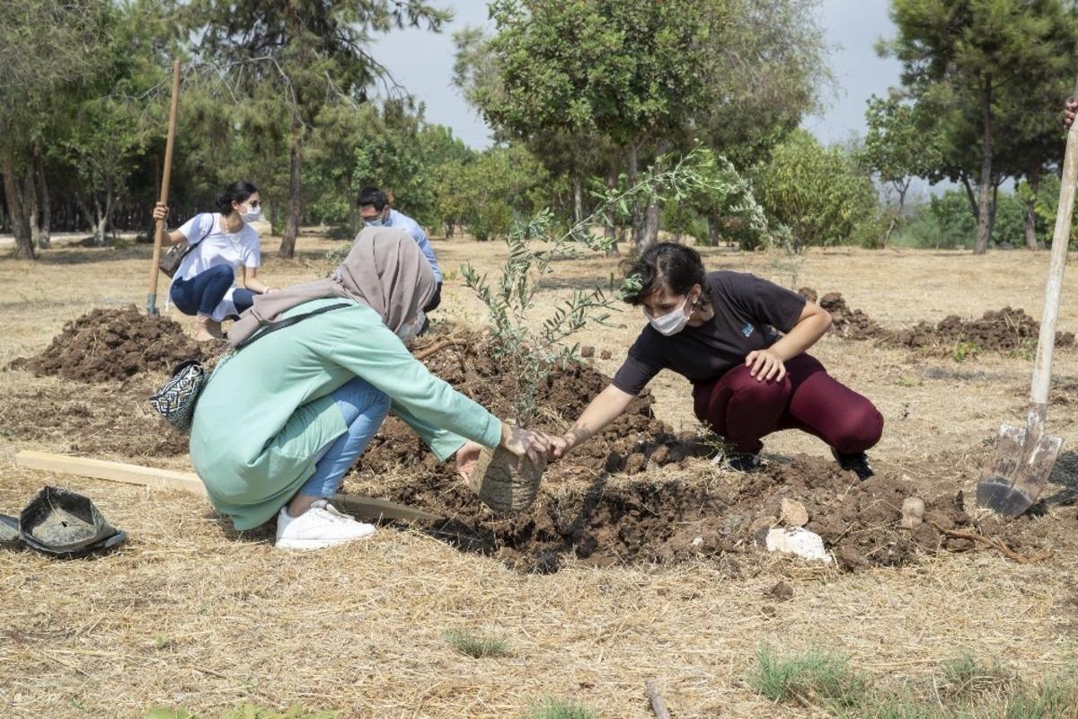 Mersin B&uuml;y&uuml;kşehir Belediyesi, &uuml;niversiteyi kazanan gen&ccedil;ler i&ccedil;in zeytin fidanı dikti