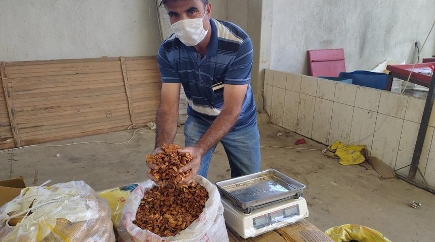 Kurutulmuş elmanın fiyatı 5,5 TL’ye yükseldi