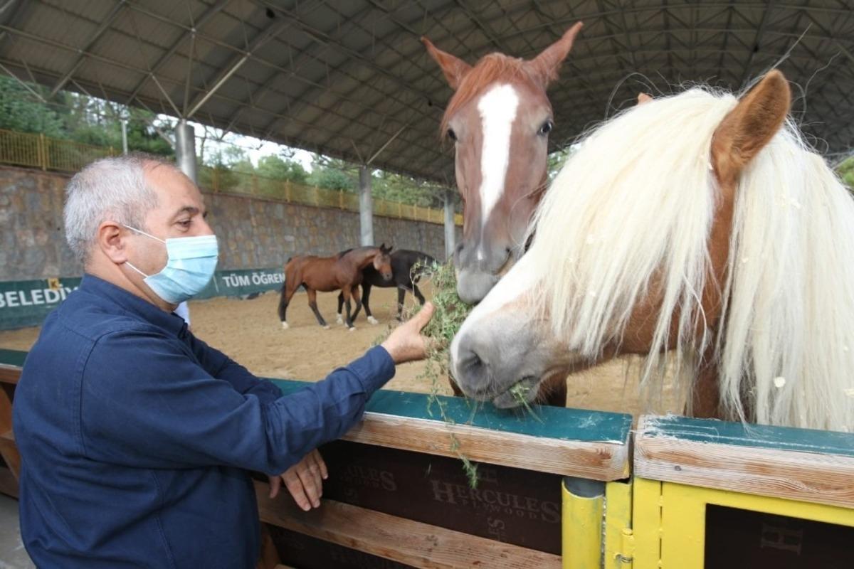 Başkan B&uuml;y&uuml;kg&ouml;z Atlı Eğitim Merkezi&rsquo;nde denetimde