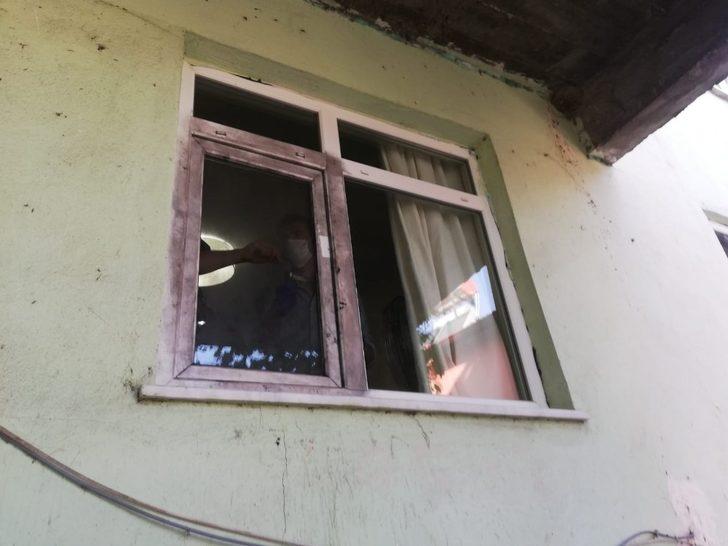 Alaplı’da 500 kilo fındık çalındı G1