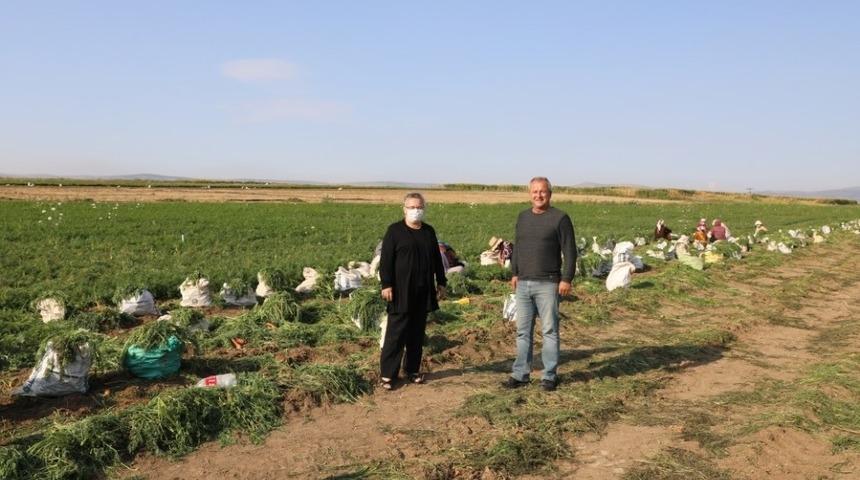 Eskişehir&rsquo;de &uuml;retilen havu&ccedil; zincir marketlerde satılacak