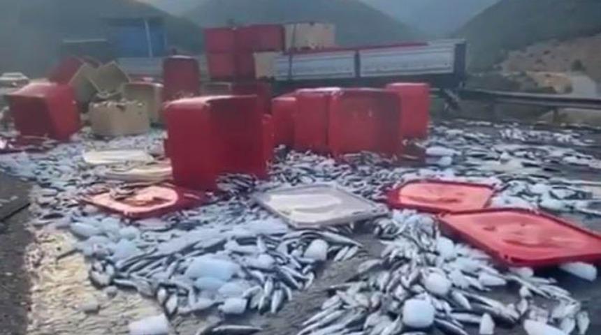 Yer: Antalya! Tonlarca balık ortalığa saçıldı