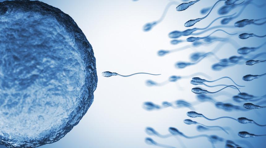 Sperm sayısını artırmak m&uuml;mk&uuml;n! İşte 9 y&ouml;ntemle sperm sayısını artırmanın yolları
