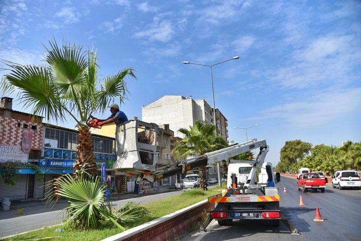 İncirliova’da sonbahar hazırlığı devam ediyor G1