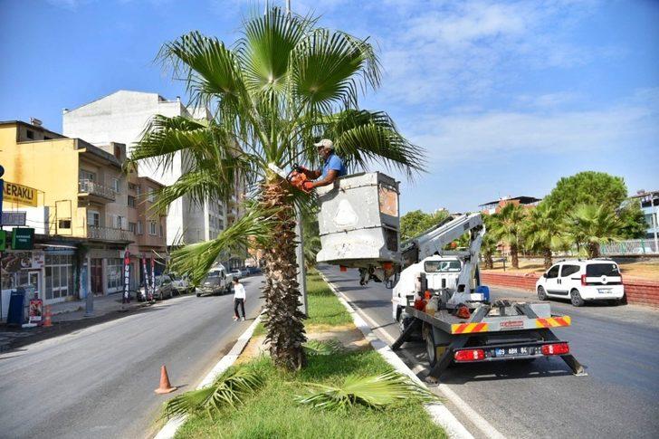 İncirliova’da sonbahar hazırlığı devam ediyor G4