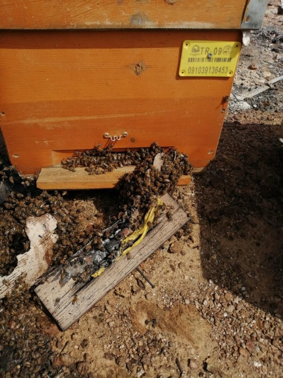 Felaketin boyutu yangın s&ouml;nd&uuml;r&uuml;l&uuml;nce ortaya &ccedil;ıktı