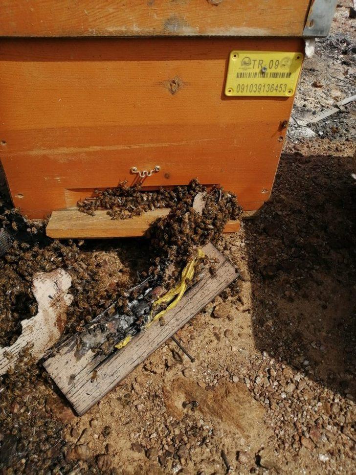 Felaketin boyutu yangın söndürülünce ortaya çıktı G1