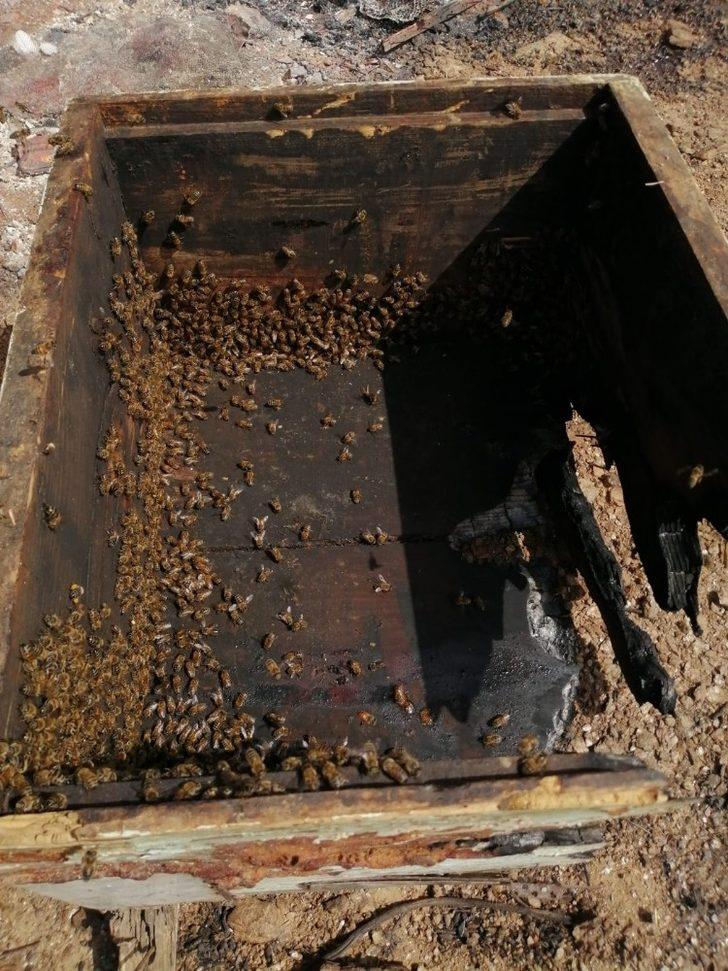 Felaketin boyutu yangın söndürülünce ortaya çıktı G5