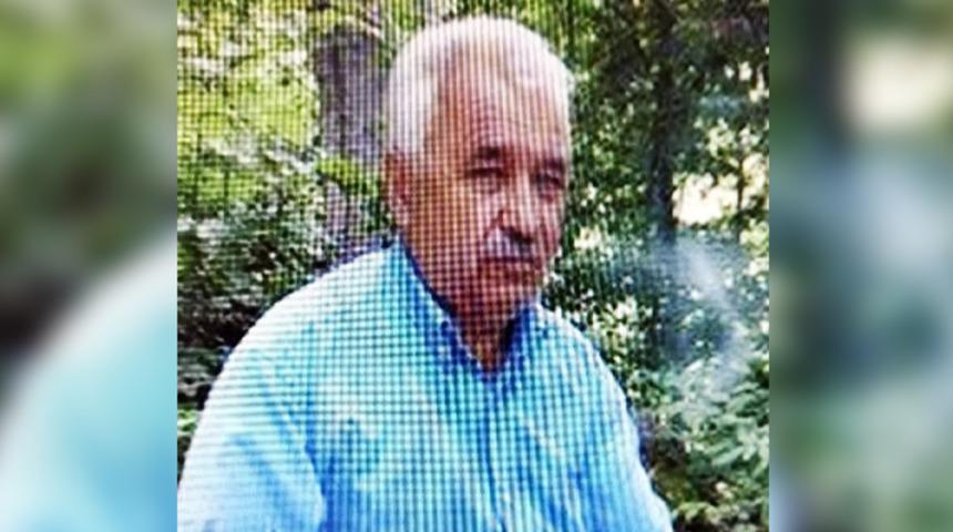 Kestiği ağaç babasının ölümüne neden oldu